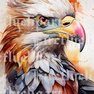 African Wildlife Watercolor Clipart, Meerkat, Pangolin, Crane (Digital Download)