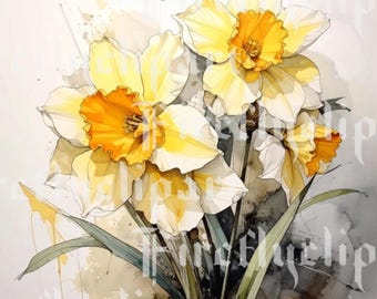 16 Daffodil  watercolor images. 300dpi and 4000 pixel
