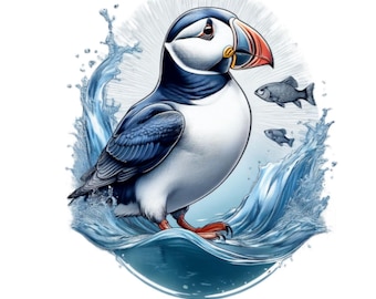 Frailecillo, imágenes digitales transparentes. 16 imágenes