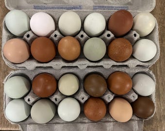 Barnyard Mix Eggs