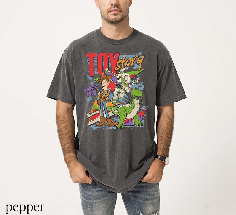May include: A charcoal gray t-shirt featuring a graphic from the movie Toy Story. The design includes Woody, Buzz Lightyear, and Rex, with the text "TOY STORY" and "SINCE 1995". The shirt is a vintage style, with a slightly faded appearance.