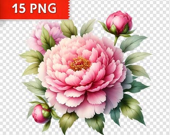 Pacchetto di clipart di peonie rosa ad acquerello: 15 bouquet floreali in formato PNG (download digitale)