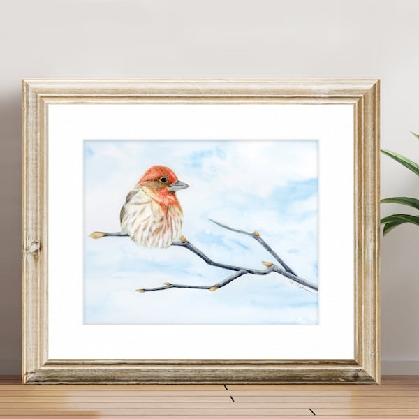 Fine Art Print - House Finch - Winter Woodland Animals Series - Watercolor Art Print with White Matte, Holiday Gift, Winter Gift