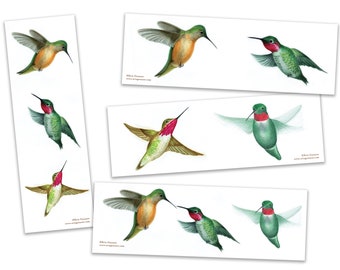 Bookmarks - Set of 4 - The Hummingbird Series - Handmade, 100% cotton rag heavy weight paper