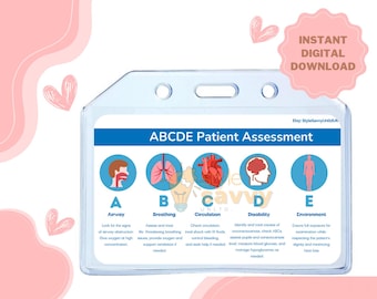 ABCDE Patient Assessment ID Insert Badge Buddy | PDF Download