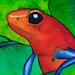 Owner of <a href='https://www.etsy.com/shop/StrawberryFrog?ref=l2-about-shopname&from_page=listing' class='wt-text-link'>StrawberryFrog</a>