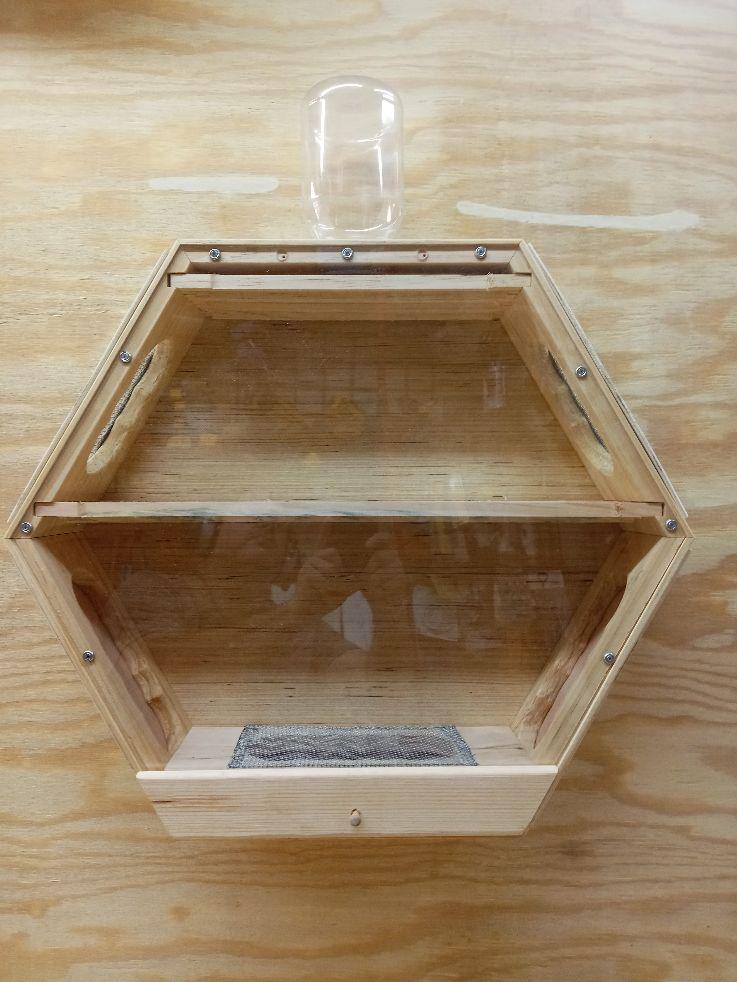 Hexagon Bee hive