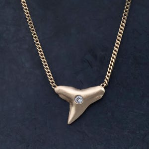 Shark Tooth Necklace