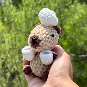 Crochet Capybara with Accessories