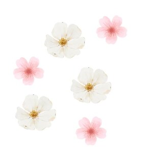 Digital Print