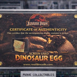 Op de afbeelding: Een ingelijst Jurassic Park echtheidscertificaat. Het certificaat toont het Jurassic Park-logo, tekst en een afbeelding van een dinosaurus-ei. De woorden "SCREEN USED DINOSAUR EGG" staan prominent weergegeven.
