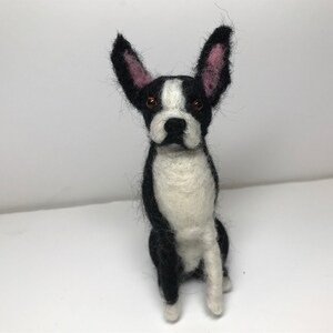 Needle Felted Boston Terrier, sitting miniature dog with pink tongue, ready to ship!