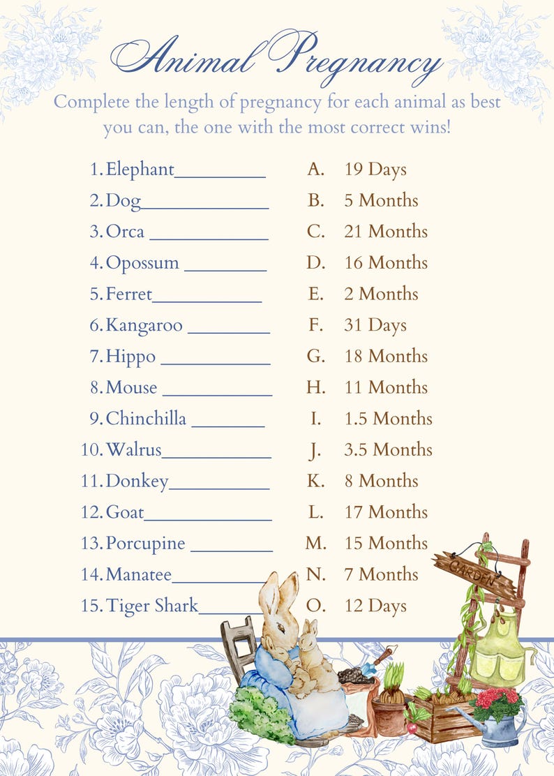 May include: A printable game sheet with a light beige background and blue floral accents. The game is called "Animal Pregnancy" and asks players to match the correct gestation period for 15 different animals. The answer choices are listed in alphabetical order from A to O.