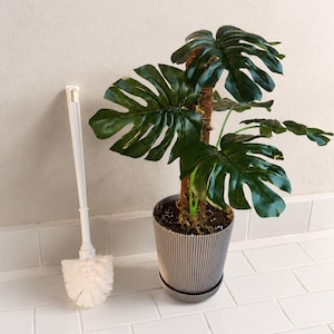 May include: A white plastic toilet brush with a long handle and a round bristle head, positioned next to a potted Monstera plant featuring large, dark green, split leaves supported by a brown moss pole in a ribbed, dark gray cylindrical pot.