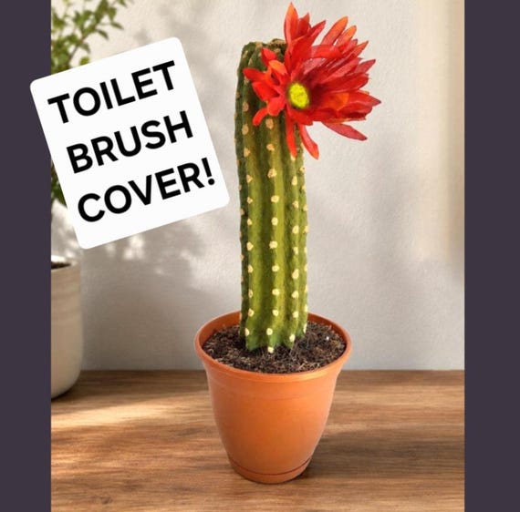 Southwest Cactus Hidden Toilet Brush Holder Bathroom Decor Succulent POTTY PLANTS