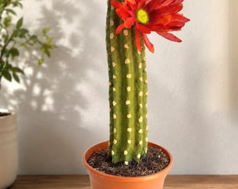 Southwest Cactus Hidden Toilet Brush Holder Bathroom Decor Succulent POTTY PLANTS