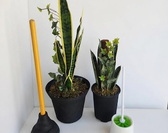 Snake Plant Toilet Plunger and Scrub Brush Decorative Containers