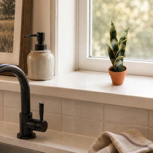 May include: A matte black kitchen faucet with a single handle, a beige speckled ceramic soap dispenser with a black pump, and a small artificial snake plant in a terracotta pot sitting on a white windowsill near a folded cloth.