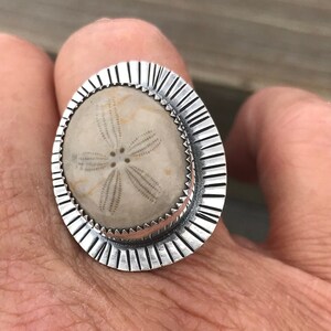 Mia-Fossilized Sand Dollar Statement Ring image 1