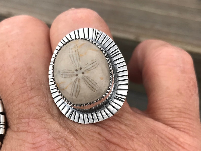 Mia-Fossilized Sand Dollar Statement Ring image 1