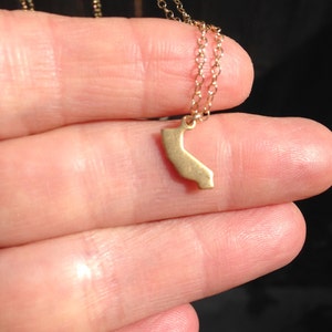 Tiny California Brass Necklace image 3