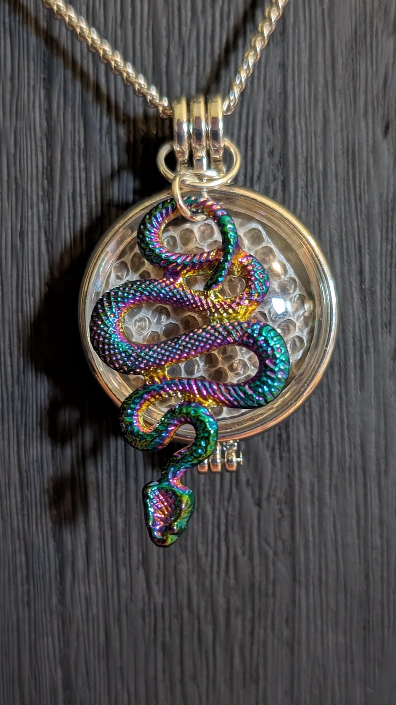 Puede incluir: Un collar de cadena de plata con un colgante redondo que presenta un amuleto de serpiente iridiscente. El colgante tiene una parte superior de vidrio transparente y un patr&oacute;n de panal en el interior.