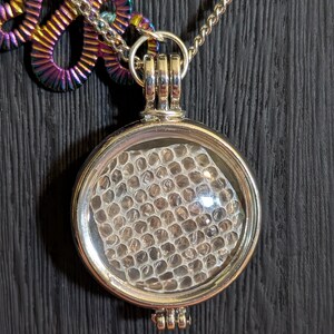 Puede incluir: Un collar de plata con un colgante redondo que presenta un patr&oacute;n de panal dentro de una c&uacute;pula de vidrio transparente.