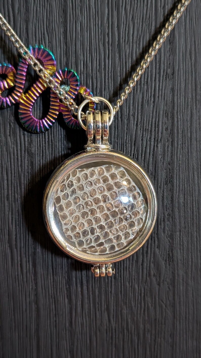 Puede incluir: Un collar de plata con un colgante redondo que presenta un patr&oacute;n de panal dentro de una c&uacute;pula de vidrio transparente.