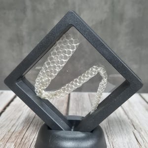 May include: A snake's shed skin, preserved within a black, diamond-shaped display case. The skin is a translucent, off-white hue, revealing the detailed scale structure. The case is set on a black, circular base, offering a distinctive presentation.