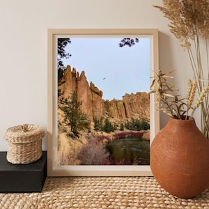 May include: A framed photograph of a rocky landscape with a river running through it. The rocks are a reddish-brown color and the river is a light blue. There is a bird flying in the sky above the rocks.