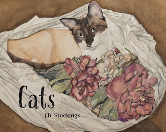 Cats: A Children's Picture Book by J.B. Stockings