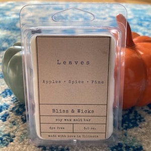 Leaves Fall Scented Soy Wax Melts: Apple, Spice & Pine