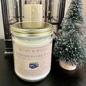 Frosted Sugar Plum Soy Candle: Holiday Scent, 50 Hour Burn