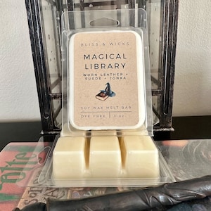 Bibliothèque Wax Melts Gift Book Lover Wax Melts Potter Harry Fan Old Book Wax Melts Magical Wax Melts Wizard Gifts vintage Books