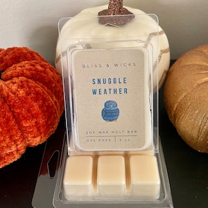 Snuggle Weather Soy Wax Melts: Mint, Juniper & Sage Fall Scent
