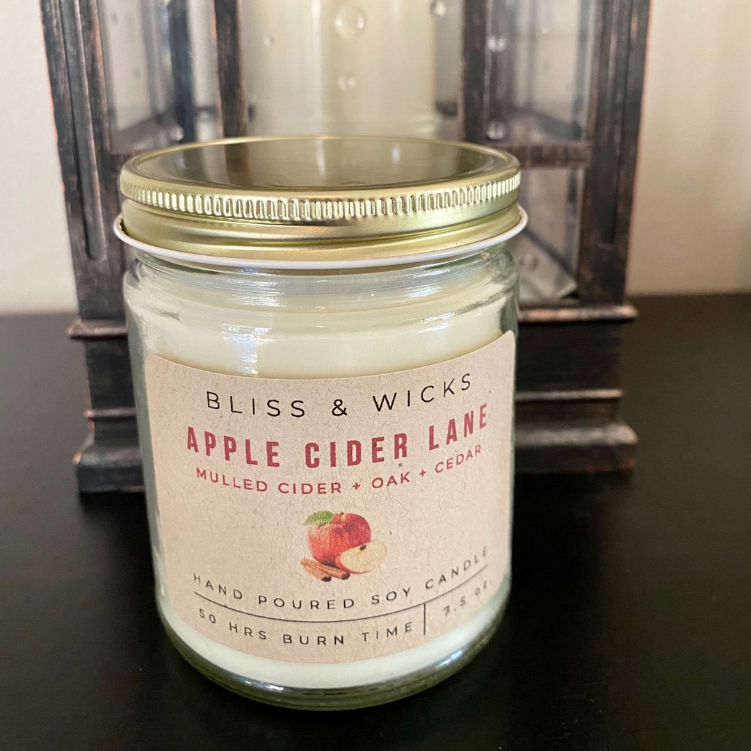 Fall Vibes Apple Cider Candle Fall Scent Cider Scented Fall Jar Candle Apple Cider Apple Soy