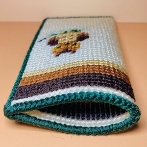 Vintage 1970's Needlepoint Animal Sunglass Eye Glass Case Beige