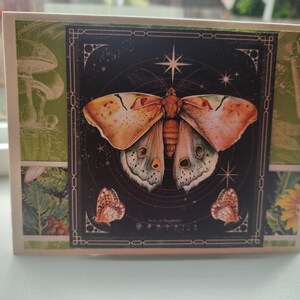 Carte faite main G45 insecte toutes occasions