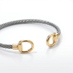 May include: A silver and gold-tone bracelet. The bracelet features a twisted cable design with gold-colored, D-shaped clasps on each end. The bracelet is open, showcasing its design and materials.