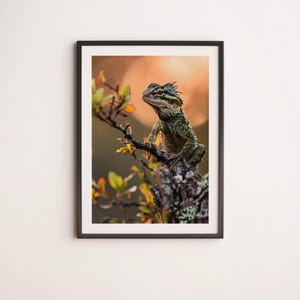 Green Iguana Wall Art, Iguana Wall Prints, Lizard Prints, Lizard Wall Art, Reptile Art Print, Wild Prints Poster, Wildlife Photography