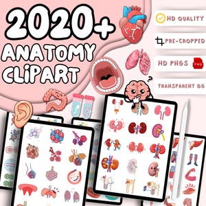 以下が含まれることがあります： 「2020+ Anatomy Clipart」と題されたデジタルアートコレクション。人体のさまざまな解剖学的イラストが特徴です。画像には、臓器、心臓、肺、脳の図が含まれています。テキストは、HD品質、事前にトリミングされた画像、および透明な背景を示しています。