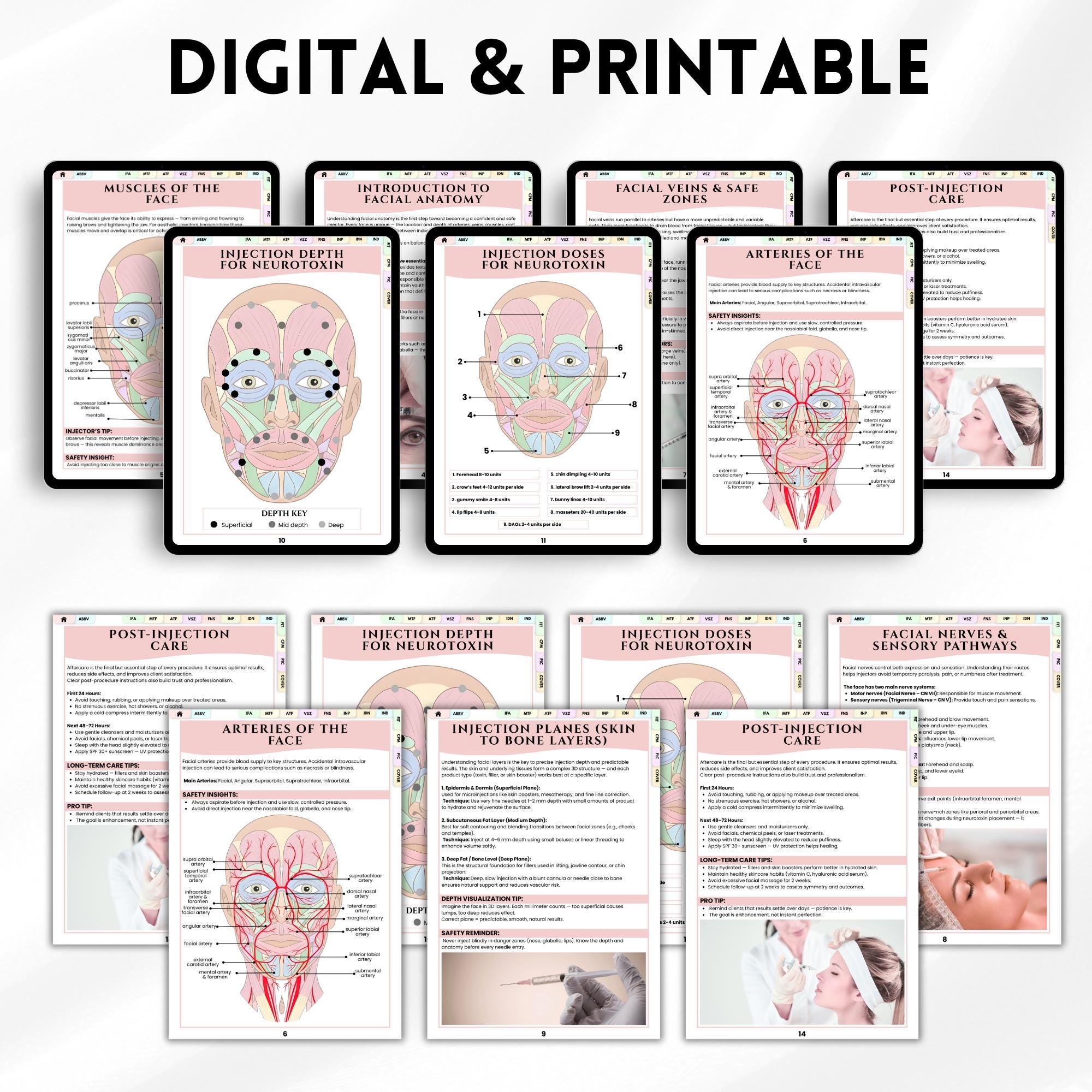 Charting Injector Face Aesthetic Nurse Injector Anatomy Guide | Facial Anatomy & Muscles Chart ...