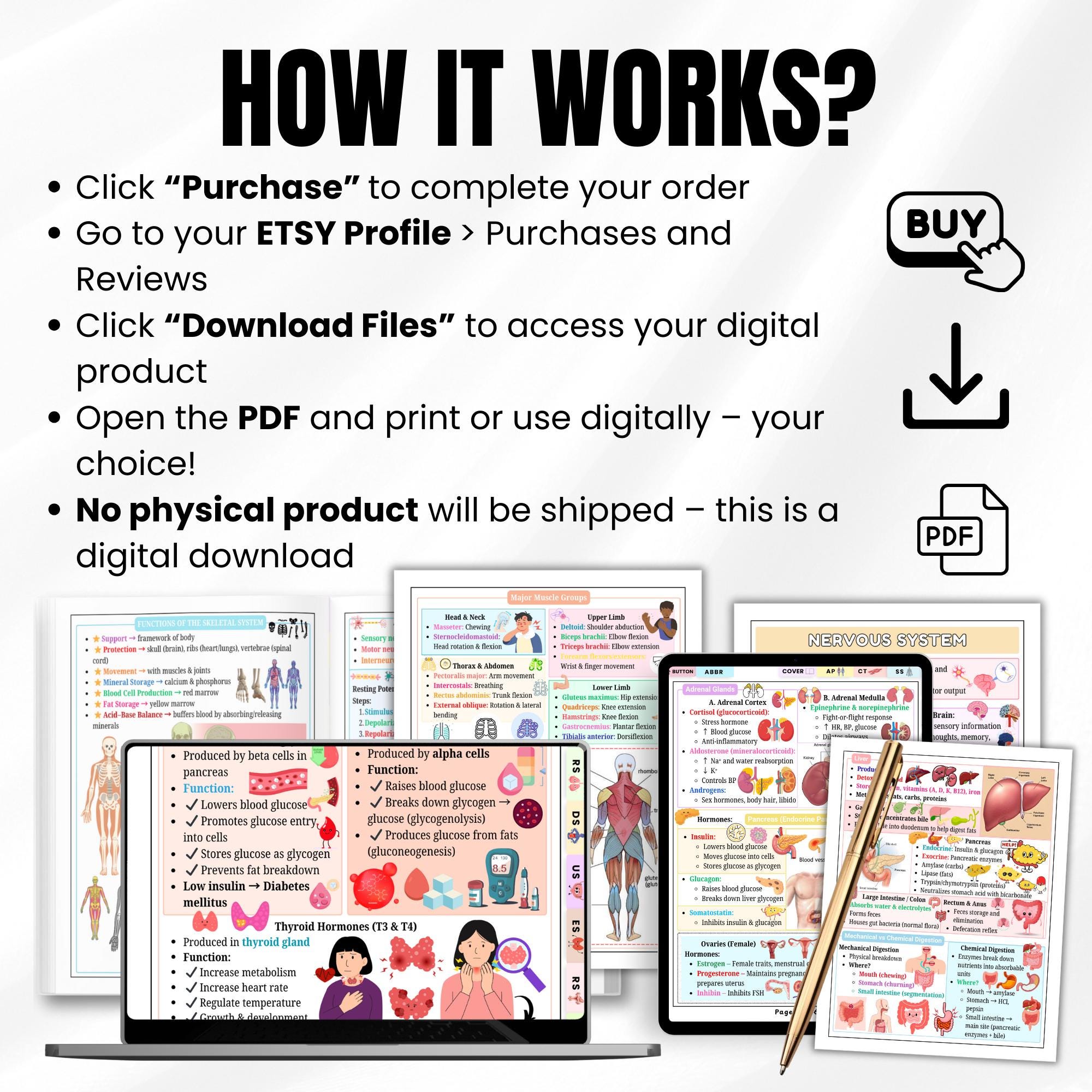 Anatomy & Physiology Cheat Sheet PDF | Nursing AP Study Guide | Medical ...