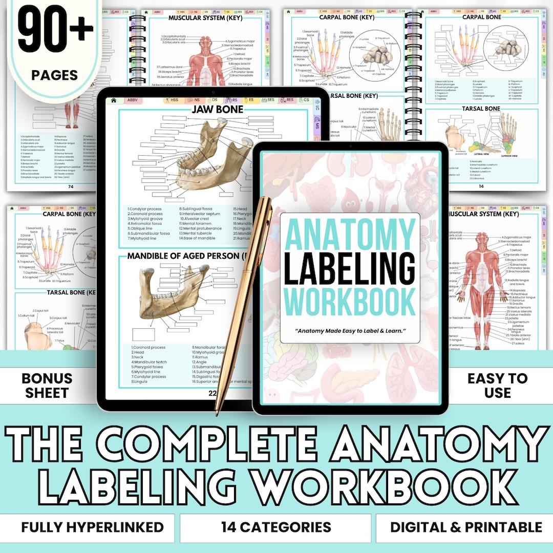 Human Anatomy Labeling Sheets | Nursing Student Anatomy Workbook PDF ...