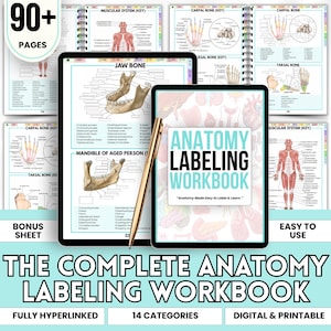 May include: A digital anatomy labeling workbook with the title "The Complete Anatomy Labeling Workbook." The image shows a tablet with the workbook open, a stylus, and pages with anatomical diagrams. The workbook is digital and printable.