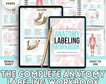 Human Anatomy Labeling Sheets | Nursing Student Anatomy Workbook PDF | Study & Practice Worksheets | Instant Download