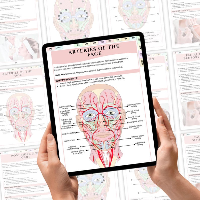 Charting Injector Face Aesthetic Nurse Injector Anatomy Guide | Facial Anatomy & Muscles Chart ...