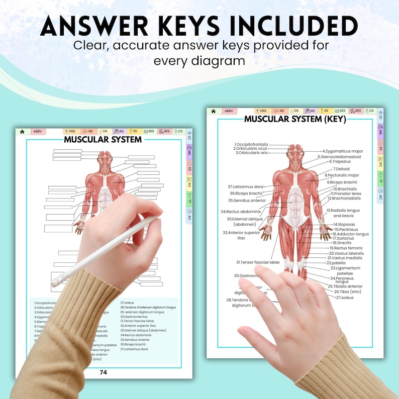 Human Anatomy Labeling Sheets | Nursing Student Anatomy Workbook PDF ...