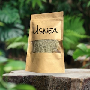 Usnea (Old Man’s Beard) – Wildcrafted Lichen