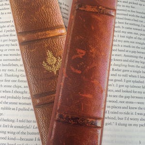 Book Spines Bookmark Collection, Perfect Reader Gift, Vintage Bookmarks, Ideal for Book Lovers, Classic Novel Reader, Perfect for Book Clubs